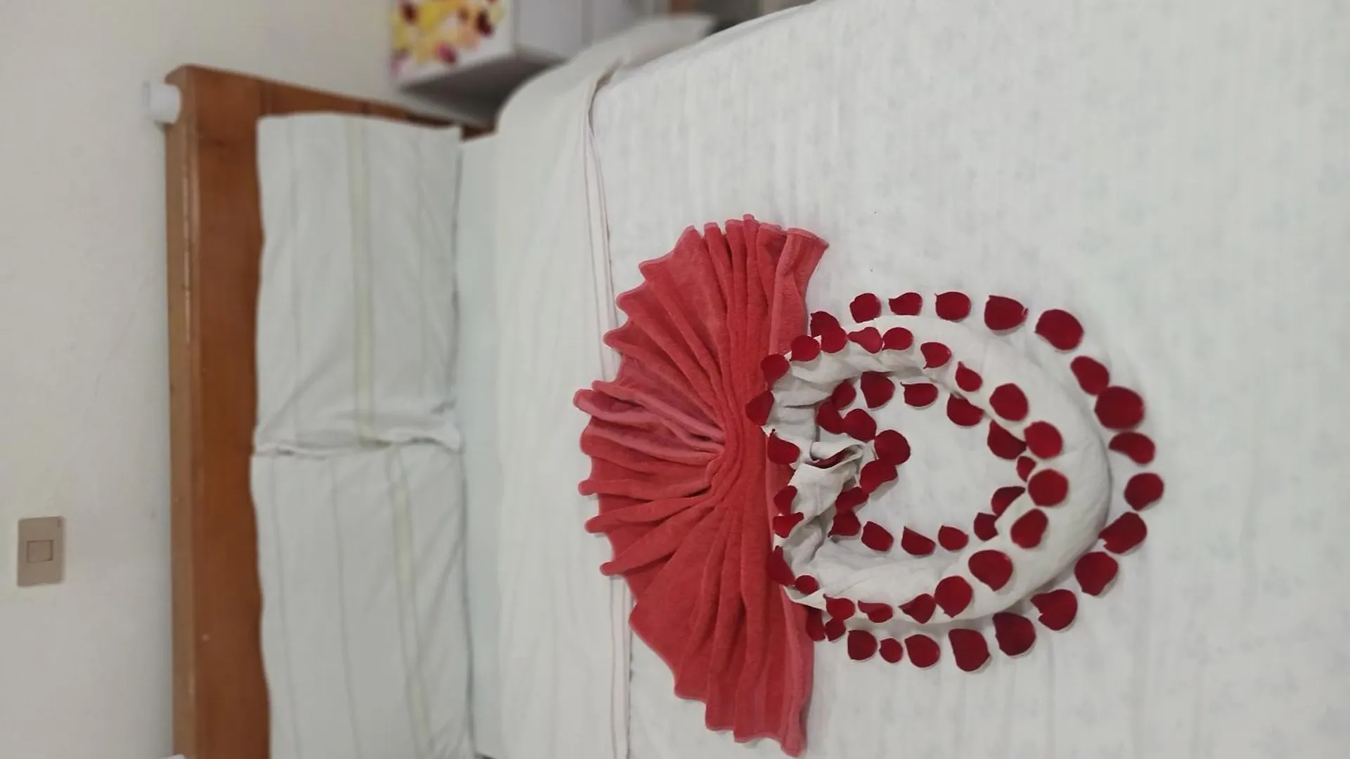 Addis Guest House