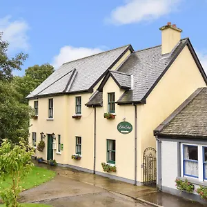 Boffin 3*, Westport Ierland